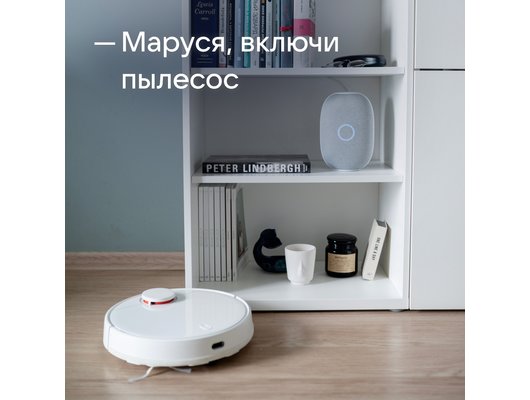 Умная колонка VK КАПСУЛА БЕЛЫЙ (MRC01WH)